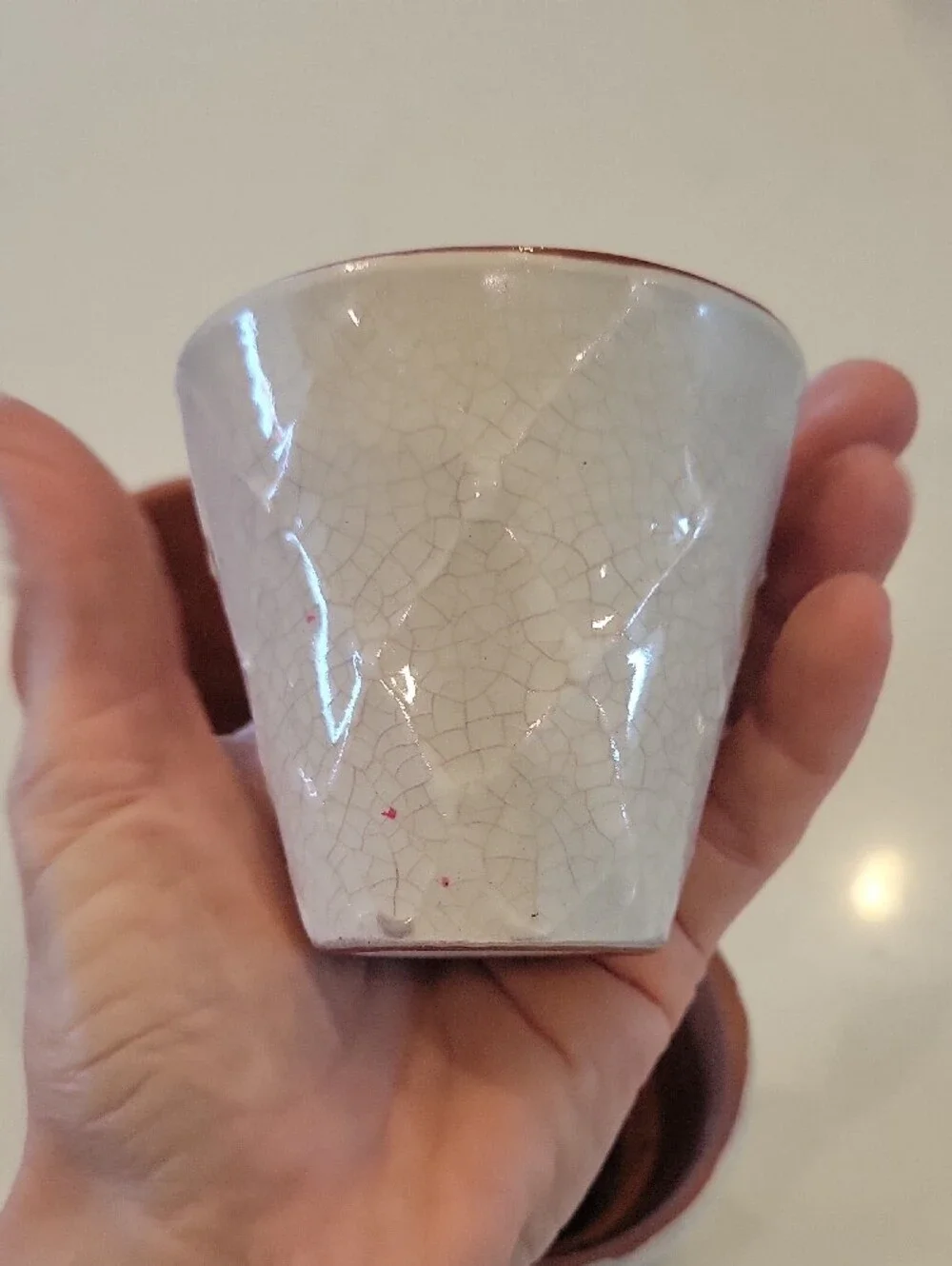 Pottery Barn White/ Cream Ceramic Planters with Terracotta Rim - Set of 3